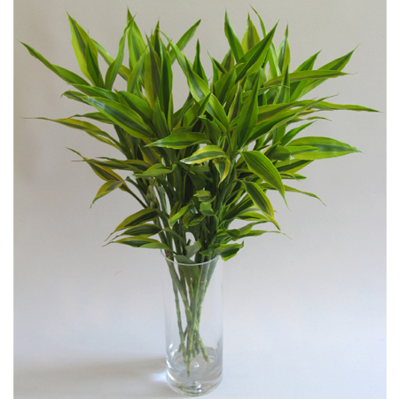 给力的开运风水